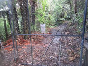 Image of aratakidec24b.jpg