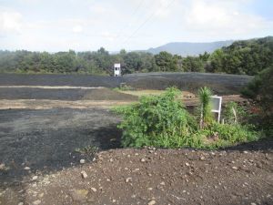 Image of aratakidec24d.jpg