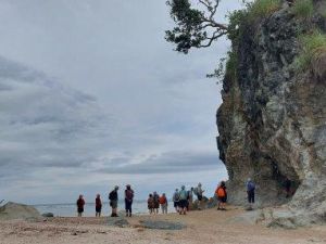 Image of coromandeljan24e.jpg