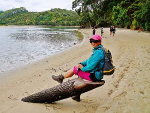 Image of coromandeljan24f.jpg