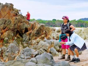 Image of coromandeljan24g.jpg