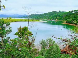 Image of coromandeljan24j.jpg