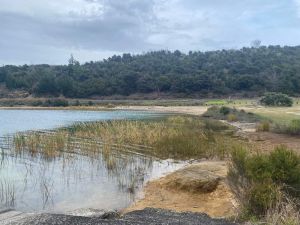 Image of dragvillemar24q.jpg