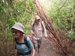 Image of hamlinshilloct24i.jpg