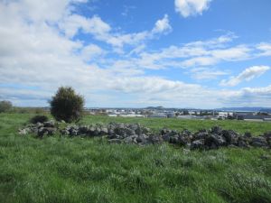 Image of hamlinshilloct24k.jpg