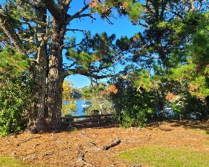 Image of heraldislandmay25g.jpg