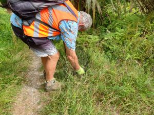 Image of kaimaibeefeb24a.jpg