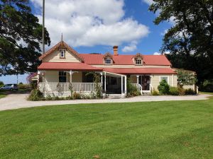 Image of kaimaibeefeb24c.jpg