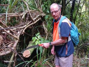 Image of kaimaibeefeb24d.jpg