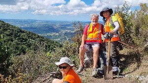 Image of kaimaibeemar25a.jpg