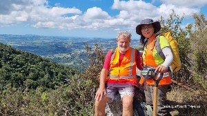 Image of kaimaibeemar25b.jpg