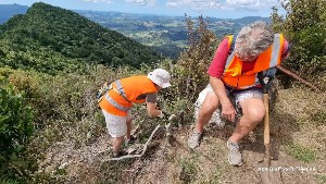 Image of kaimaibeemar25c.jpg