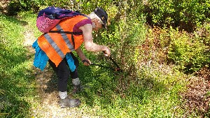 Image of kaimaibeenov25b.jpg