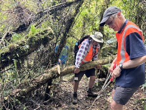 Image of kaimaibeenov25d.jpg