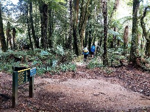 Image of kaimaistetuhinov25b.jpg