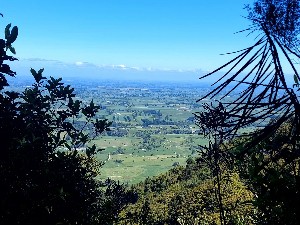 Image of kaimaistetuhinov25e.jpg