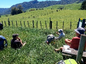 Image of kaimaistetuhinov25f.jpg