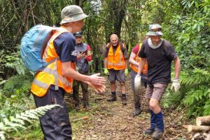 Image of kaimaisworkoct24a.jpg