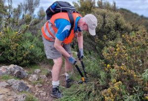 Image of kaimaisworkoct24e.jpg