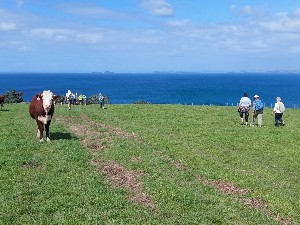 Image of longbayoct25b.jpg