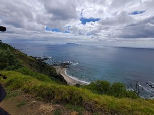 Image of mangawhainov24d.jpg