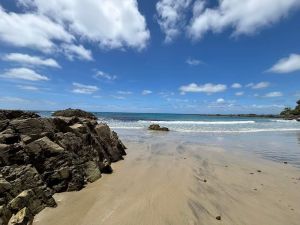 Image of mangawhainov24g.jpg