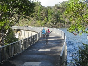 Image of montanaaug25a.jpg