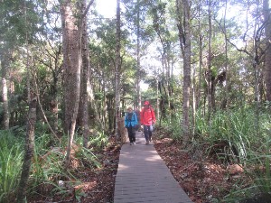 Image of montanaaug25d.jpg