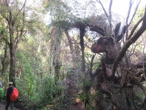 Image of montanaaug25e.jpg