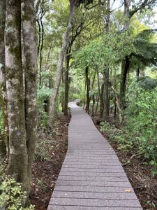 Image of montanatrailjul24a.jpg