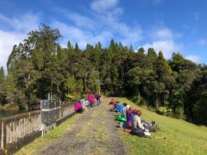 Image of montanatrailjul24c.jpg