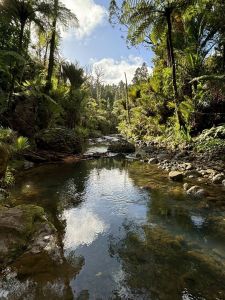 Image of montanatrailjul24d.jpg