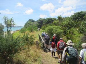 Image of motuihejan25a.jpg