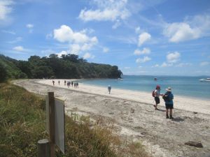 Image of motuihejan25b.jpg