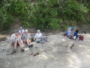 Image of motuihejan25c.jpg