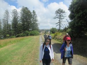 Image of motuihejan25d.jpg