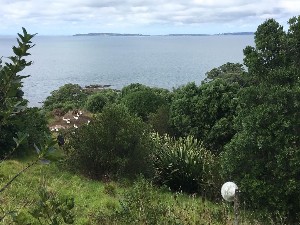 Image of motuorabeemar25a.jpg