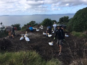 Image of motuorabeemar25b.jpg