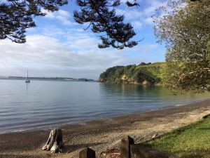 Image of motutapuislandmar24a.jpg