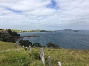 Image of motutapuislandmar24e.jpg