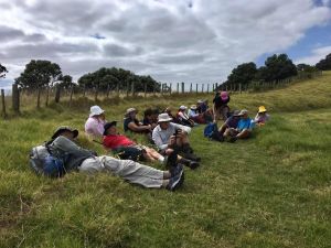 Image of motutapuislandmar24f.jpg