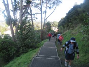 Image of mtedenaug24a.jpg