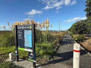 Image of noranaapr25a.jpg