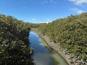 Image of noranaapr25e.jpg