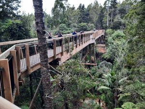 Image of northcotejul24a.jpg