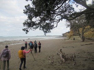 Image of orewajul25a.jpg