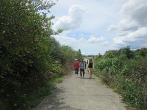 Image of pararekaufeb24g.jpg