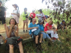 Image of pararekaufeb24h.jpg