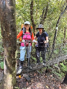 Image of pinnaclesmar25a.jpg