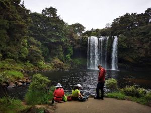 Image of puketiocct24n.jpg